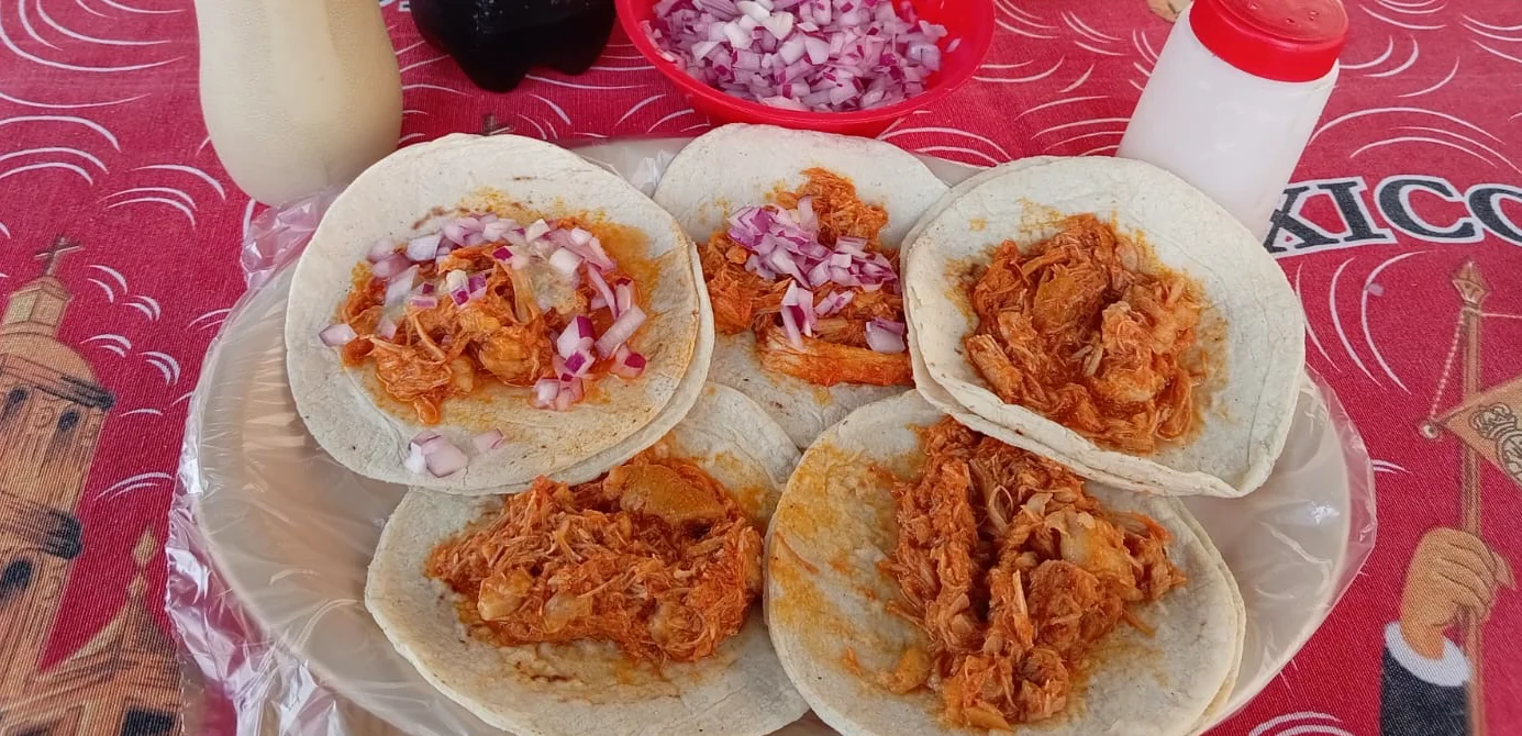 Tacos de cochinita pibil recién servidos